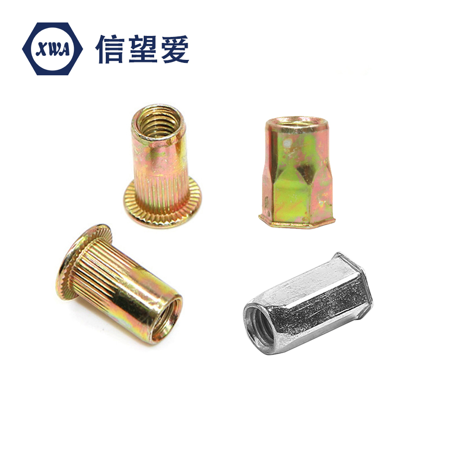 ���T��ĸƽ�^�Q�y�T��ĸС߅ȫ�����T��ĸС���^��(n��i)���������T��ĸ